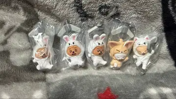 straykids skzoo 츠만데츠나게테마스코토 카니칸 타입