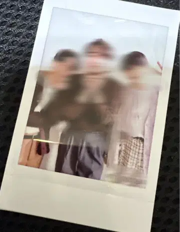 팀 핸섬 폴라로이드 코세키 마츠오카 모토지마