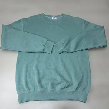 FRUIT OF THE LOOM 프룻 오브 더 룸 맨투맨 속기모 S