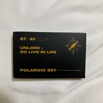 스트레이 키즈 온콘 폴라로이드 2020