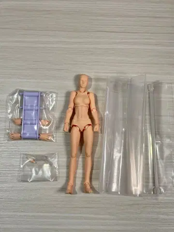 정품 figma 여성 소체 바디 archetype next : she