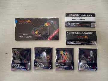 레드불 레이싱 편의점 덤