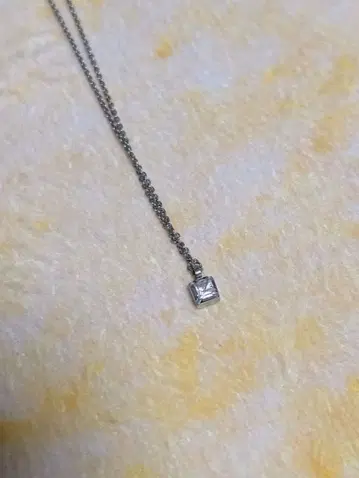 SCOMMAG 프티 316L 목걸이