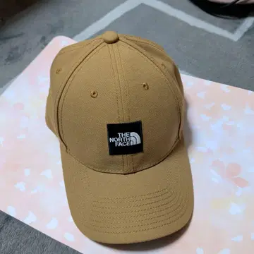 THE NORTH FACE 야구 모자 베이지