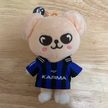 Stray Kids 승민 퍼핌 봉제 인형 덤 포함