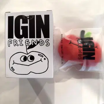 BTS JIN IGIN 팝업 APPURI 봉제 인형 키링