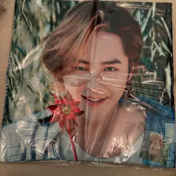 장근석 쿠션 커버