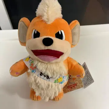 포켓몬 물산전 로컬 Acts 오키나와 응원 포켓몬 윈디 봉제 인형