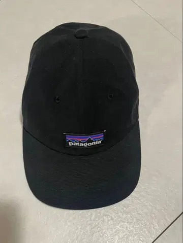 Patagonia 블랙 야구 모자