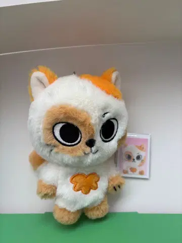 BOYNEXTDOOR 푸네크도 BBNEXDO POPUP 성호