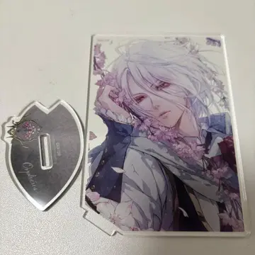 오르페 아크릴 스탠드 렌 드 플뢰르