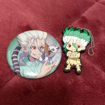 Dr.STONE 트레이딩 메탈릭 캔뱃지 사육 담당 ver 이시가미 센쿠