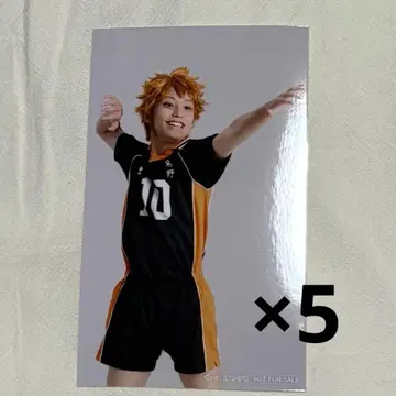 극큐 극단 하이큐!! 만남 미니 사진 히나타 쇼요 카토 켄시로