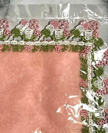 치카자와 레이스 꽃보다 경단