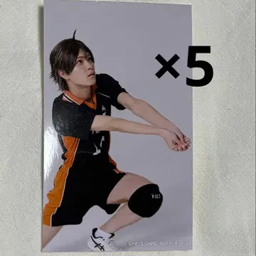 극큐 극단 하이큐!! 만남 미니 사진 야마구치 타다시 요시노 슌야