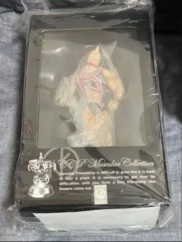 CCP Muscular Collection 피규어