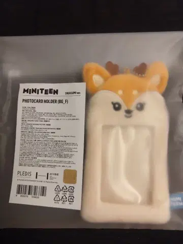 MINITEEN 포토카드 홀더 SHUASUMI 익명 배송