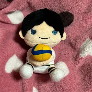 하이큐!! 카게야마 토비오 슈바덴 아들러 리시브 봉제 인형