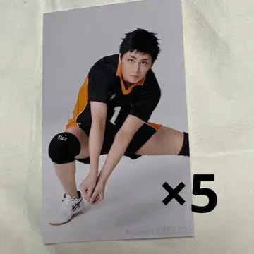 극큐 극단 하이큐!! 만남 미니 사진 사와무라 다이치 이소노 토오루