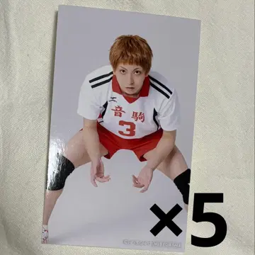 극큐 극단 하이큐!! 만남 미니 사진 야쿠 모리스케 타카하시 유우리