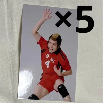 극큐 극단 하이큐!! 만남 미니 사진 야마모토 타케토라 요코야마 토이