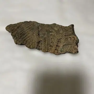 아오모리현 야마나카 마루야마 유적 출토