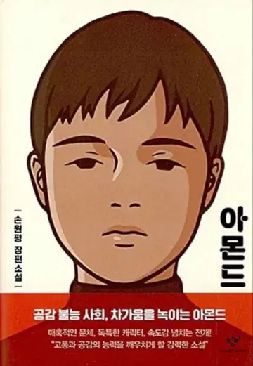 한국 서적 아몬드 손원평 장편소설