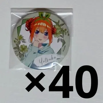 5등분의 신부 요츠바 캔뱃지 TSUTAYA 어른 데이트 40개