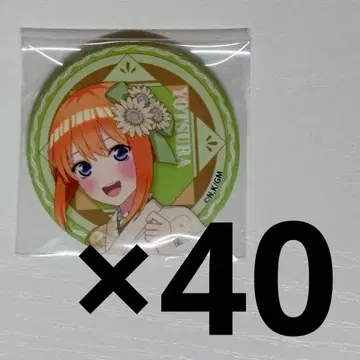 5등분의 신부 요츠바 레트로 모던 캔뱃지 40개