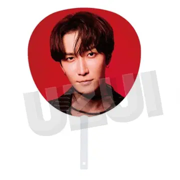 SnowMan DOME TOUR ON 와타나베 쇼타 부채