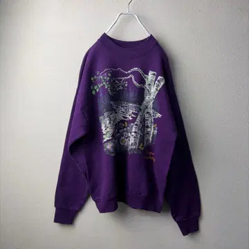 프룻 오브 더 룸 90s 미국제 빈티지 맨투맨