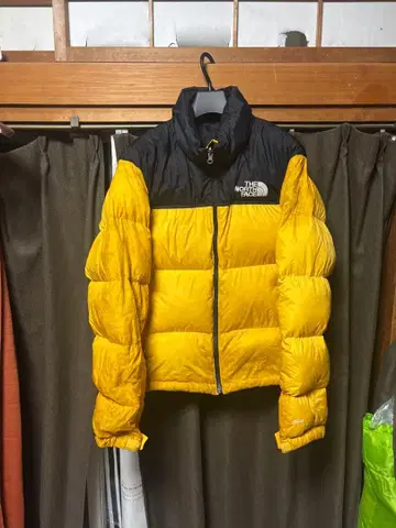 THE NORTH FACE 다운 자켓 700필