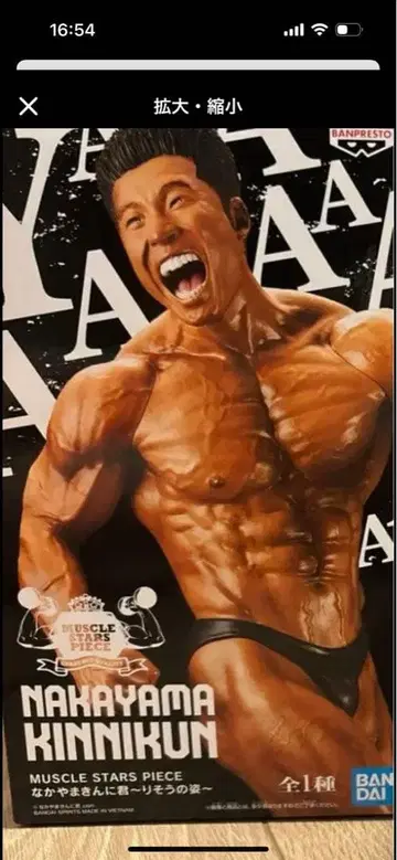 나카야마 킨니쿤 이상적인 모습 머슬 스타즈 피스 피규어 미개봉