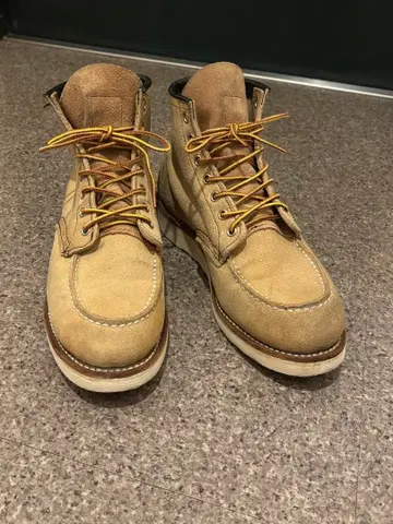 [ 인기 ] RED WING 8173 스웨이드 모크토 US8.5D