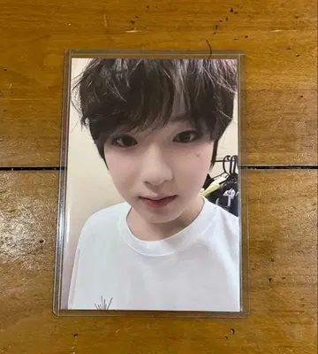 NCTWISH 증정회 사쿠야 songbird 포스트카드