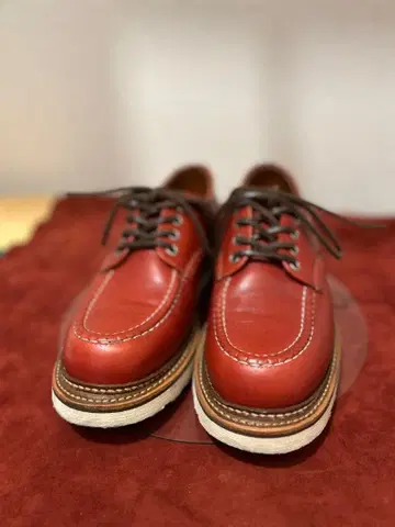 레드윙 8103 클래식 옥스퍼드 6.5D