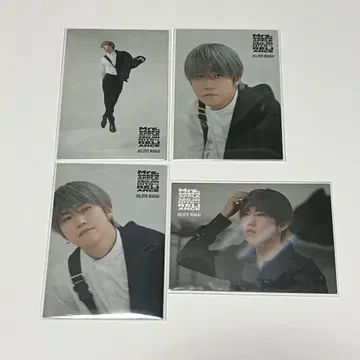 Mrs. GREEN APPLE 포토 카드 젠 라이언스 와카이 히로토