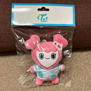 미개봉 새상품 TWICE 모모 모블리 백 참 Twaii's shop