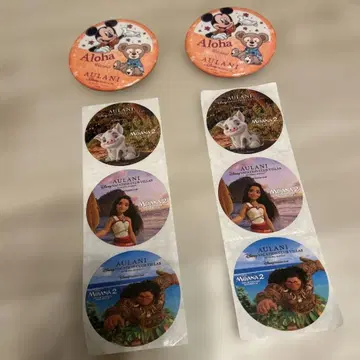 아울라니 디즈니 한정판 캔뱃지 스티커