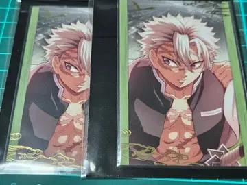 시나즈가와 사네미