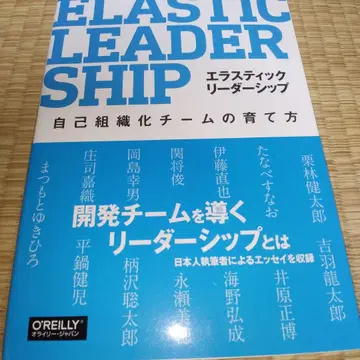 탄력적 리더십: 자기 조직화 팀 육성법