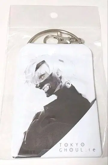 도쿄 구울:re 패스 케이스 카네키 켄 이시다 스이 전