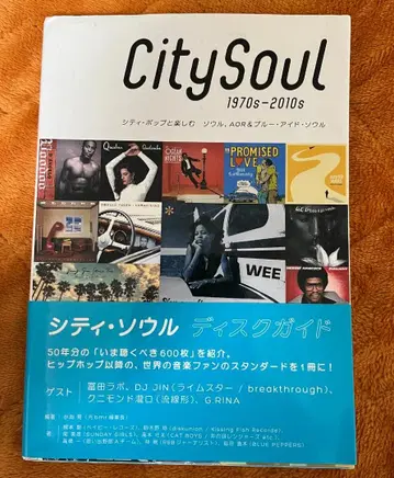 시티 서울 디스크 가이드