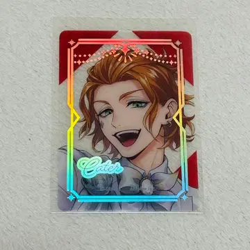 트위스테 플라티나 자켓 케이트 클리어 카드