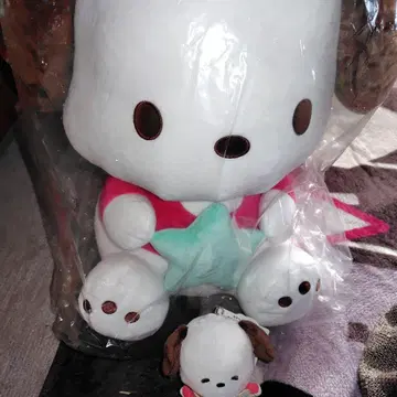 산리오 캐릭터즈 대상 복권 포차코 봉제 인형 트레이 일괄 판매