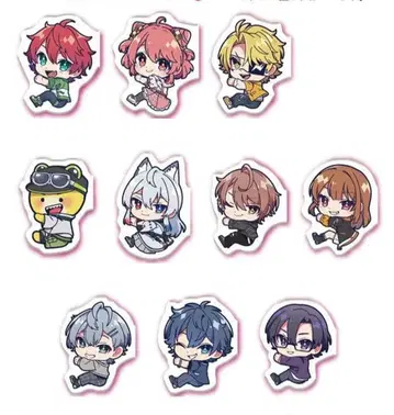 컬러풀 피치 핏 허그 11종 세미 컴프 세트