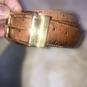 레어 던힐 오스트리치 벨트