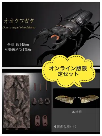 [온라인판] 생물대도감 어드밴스 사슴벌레02 오오쿠와가타 단품