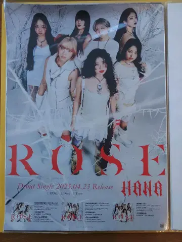 ROSE HANA 신 싱글 2장 세트