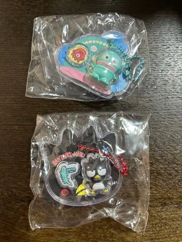 산리오 캐릭터즈 패키지 참 키링 2개 세트